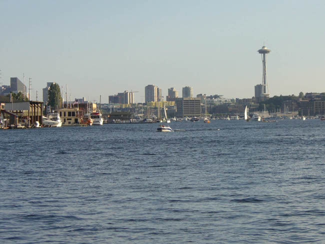 Lake Needle View